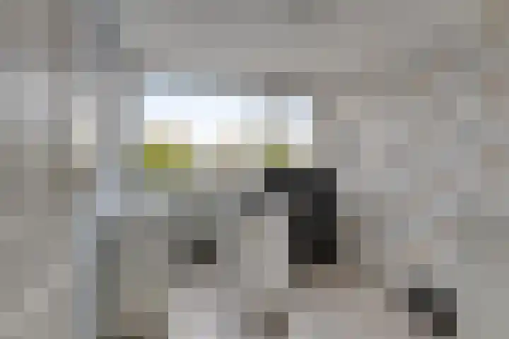 Hobodreef 82 Etten-Leur thumbnail 38