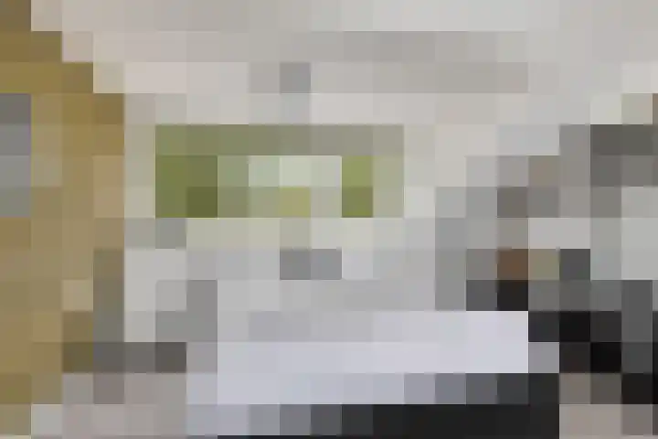 Hobodreef 82 Etten-Leur thumbnail 40