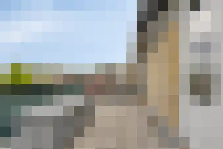 Hobodreef 82 Etten-Leur thumbnail 42