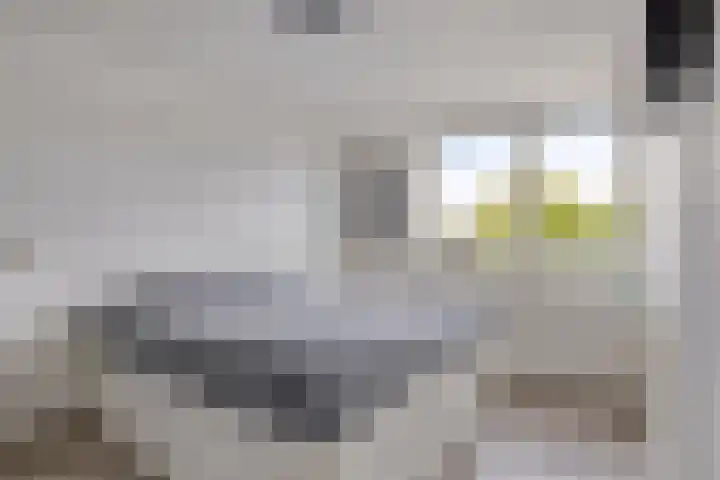 Hobodreef 82 Etten-Leur thumbnail 5
