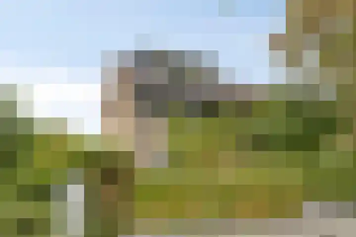 Hobodreef 82 Etten-Leur thumbnail 7