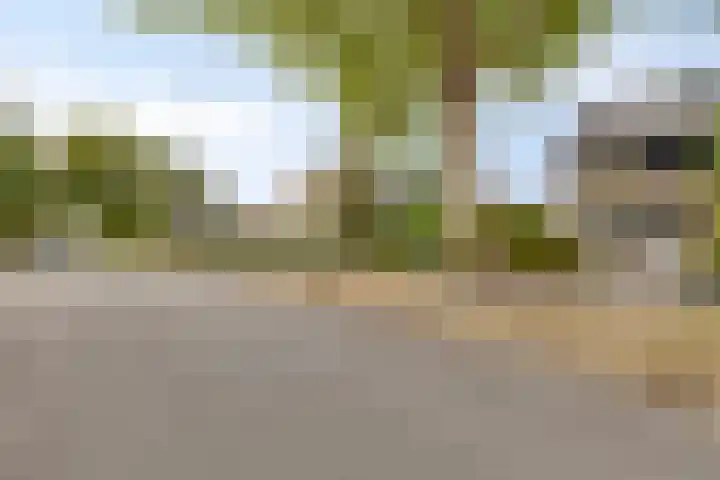 Hobodreef 82 Etten-Leur thumbnail 8