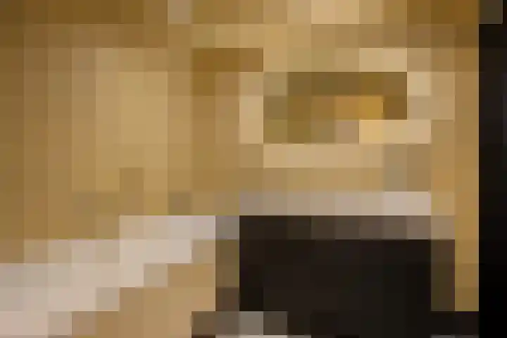 Hobodreef 96 Etten-Leur thumbnail 29