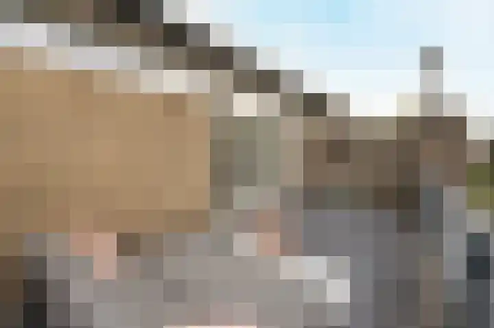 Hobodreef 96 Etten-Leur thumbnail 36
