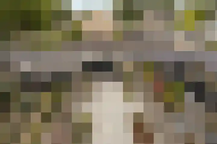 Hobodreef 96 Etten-Leur thumbnail 37