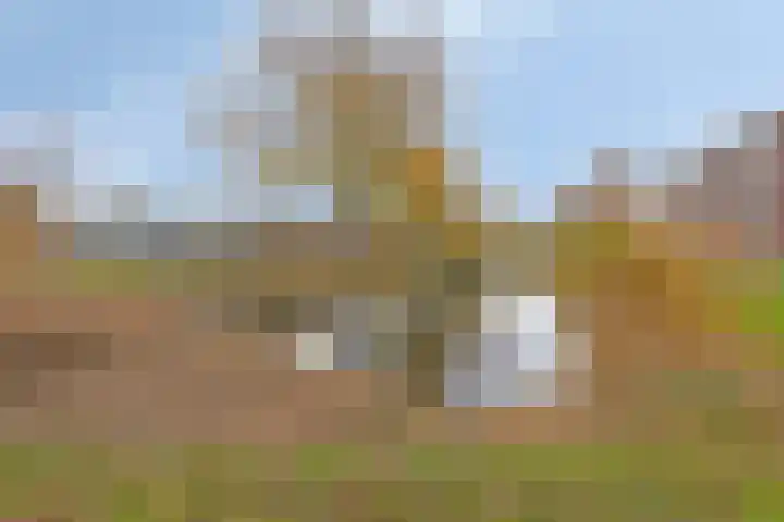 Hobokenstraat 223 Breda thumbnail 33