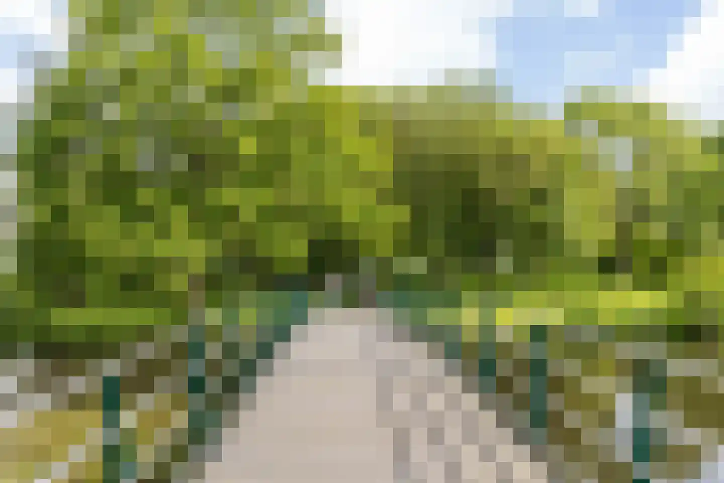 Hobokenstraat 229 Breda thumbnail 33