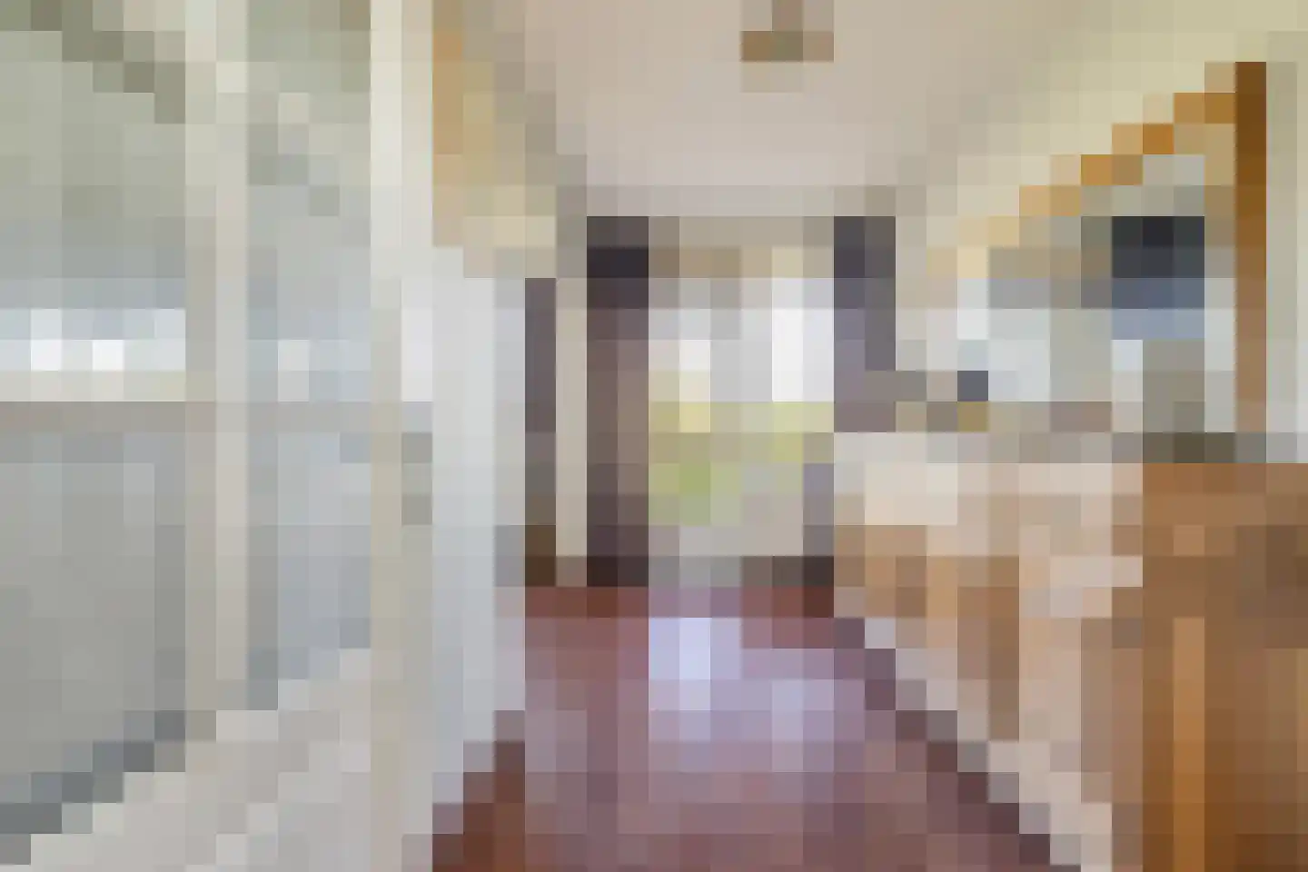 Hobokenstraat 379 Breda thumbnail 36