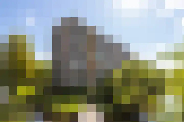 Hobokenstraat 483 Breda thumbnail 39
