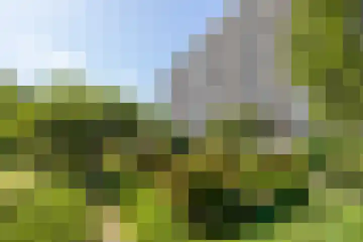 Hobokenstraat 483 Breda thumbnail 8