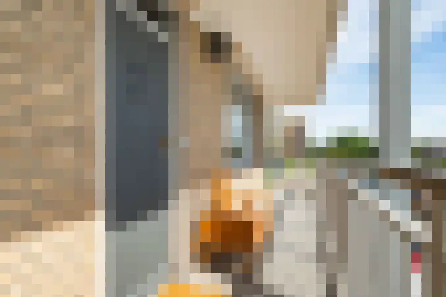 Hobokenstraat 69 Breda thumbnail 5