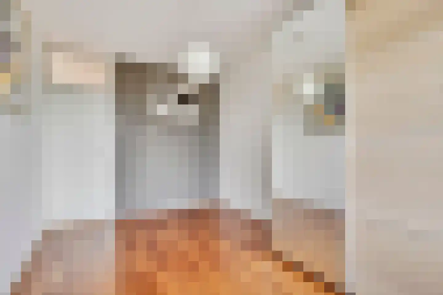 Hobokenstraat 95 Breda thumbnail 17