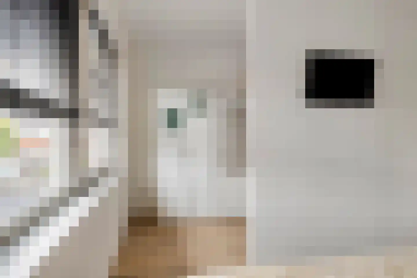 Hobostraat 10 Eindhoven thumbnail 19