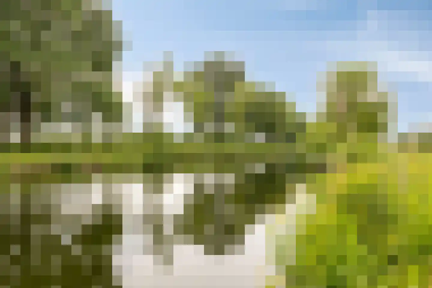 Hobostraat 10 Eindhoven thumbnail 35