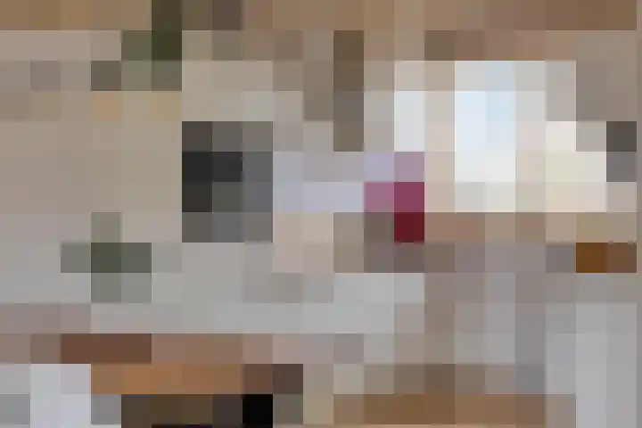 Hobostraat 14 Eindhoven thumbnail 10