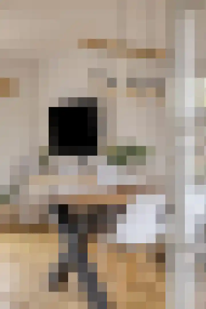 Hobostraat 14 Eindhoven thumbnail 11