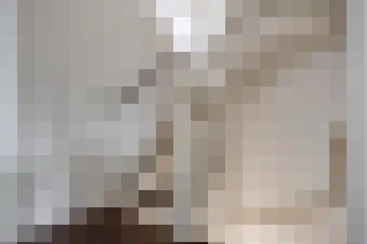 Hobostraat 14 Eindhoven thumbnail 12