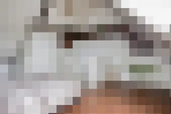 Hobostraat 14 Eindhoven thumbnail 20