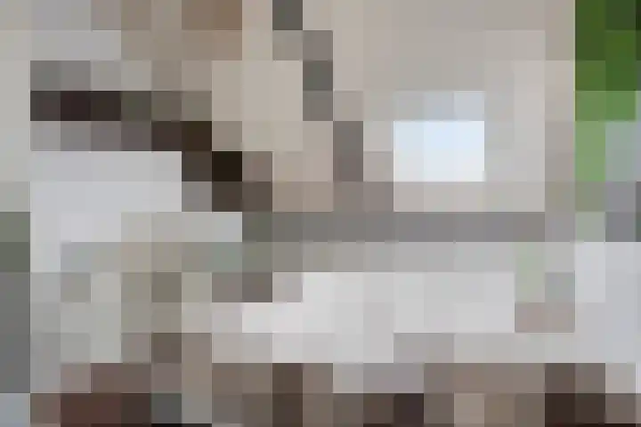 Hobostraat 14 Eindhoven thumbnail 21