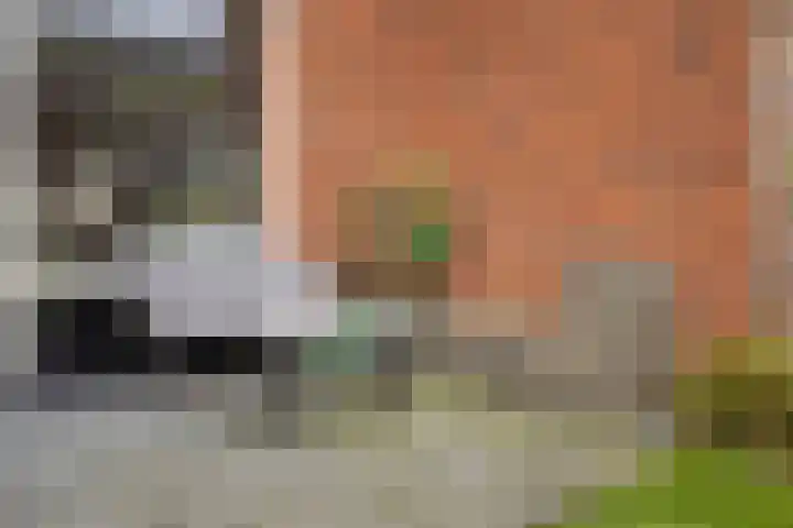 Hobostraat 14 Eindhoven thumbnail 23