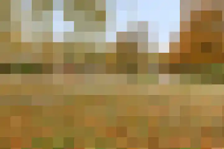 Hobostraat 14 Eindhoven thumbnail 27
