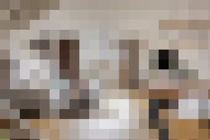 Hobostraat 14 Eindhoven thumbnail 5
