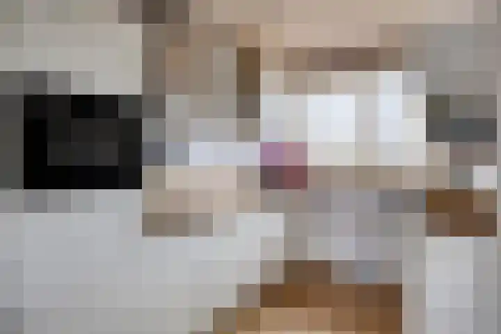 Hobostraat 14 Eindhoven thumbnail 8