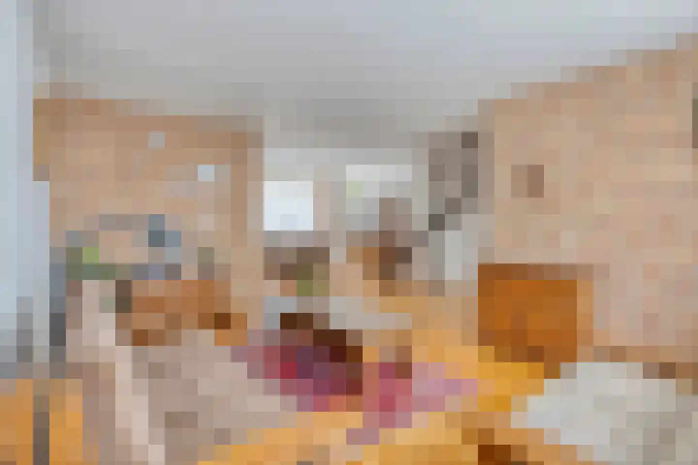 Hobostraat 15 Helmond thumbnail 8