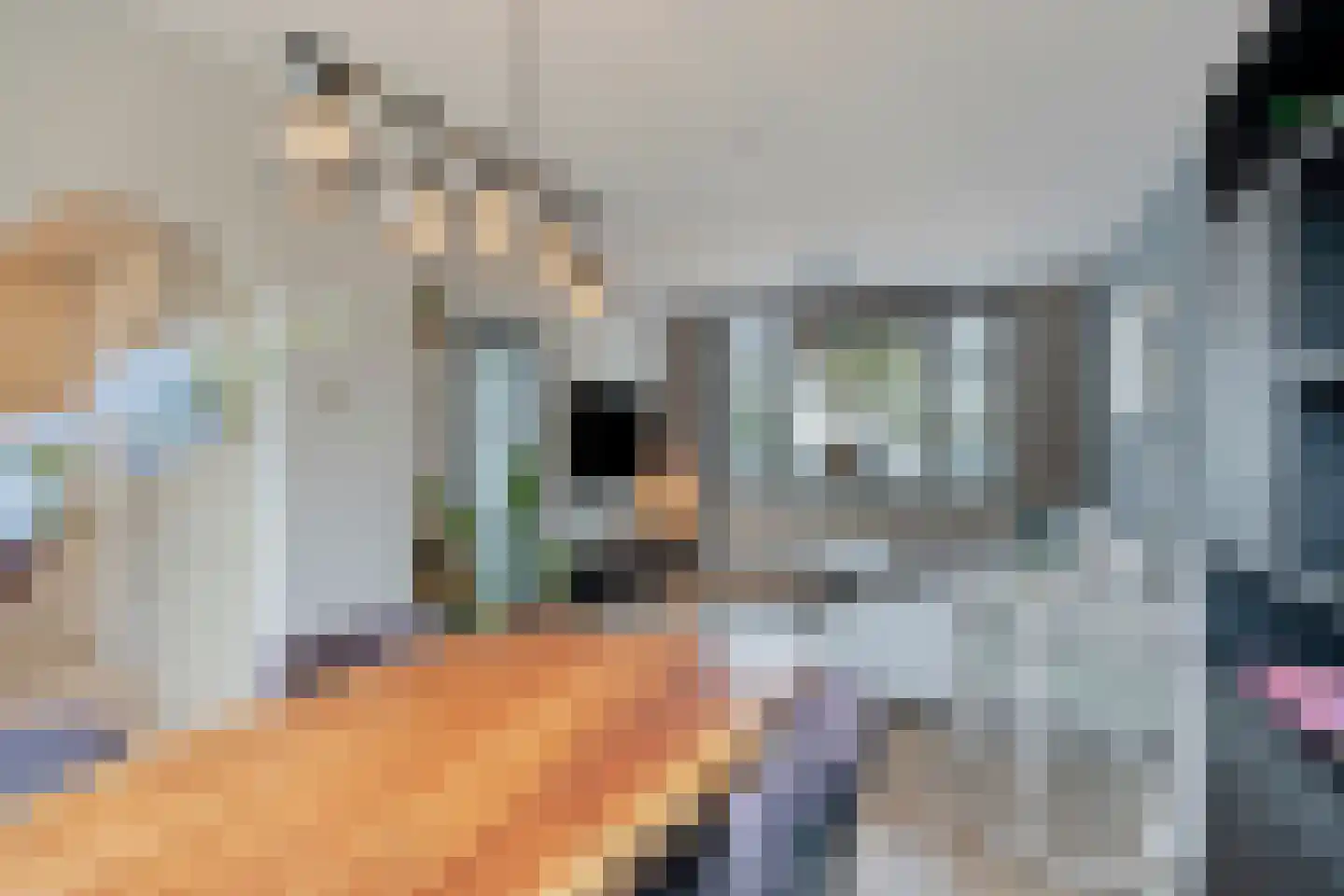 Hobostraat 19 Uden thumbnail 13
