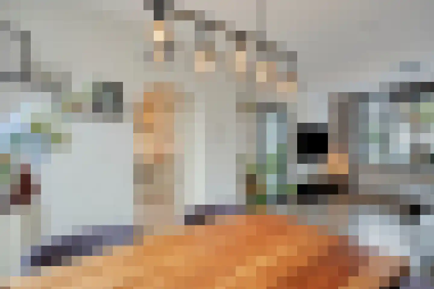 Hobostraat 19 Uden thumbnail 15