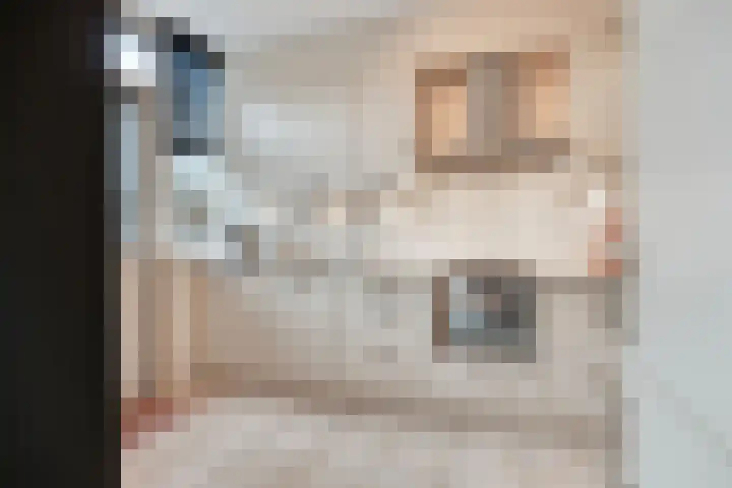Hobostraat 19 Uden thumbnail 16