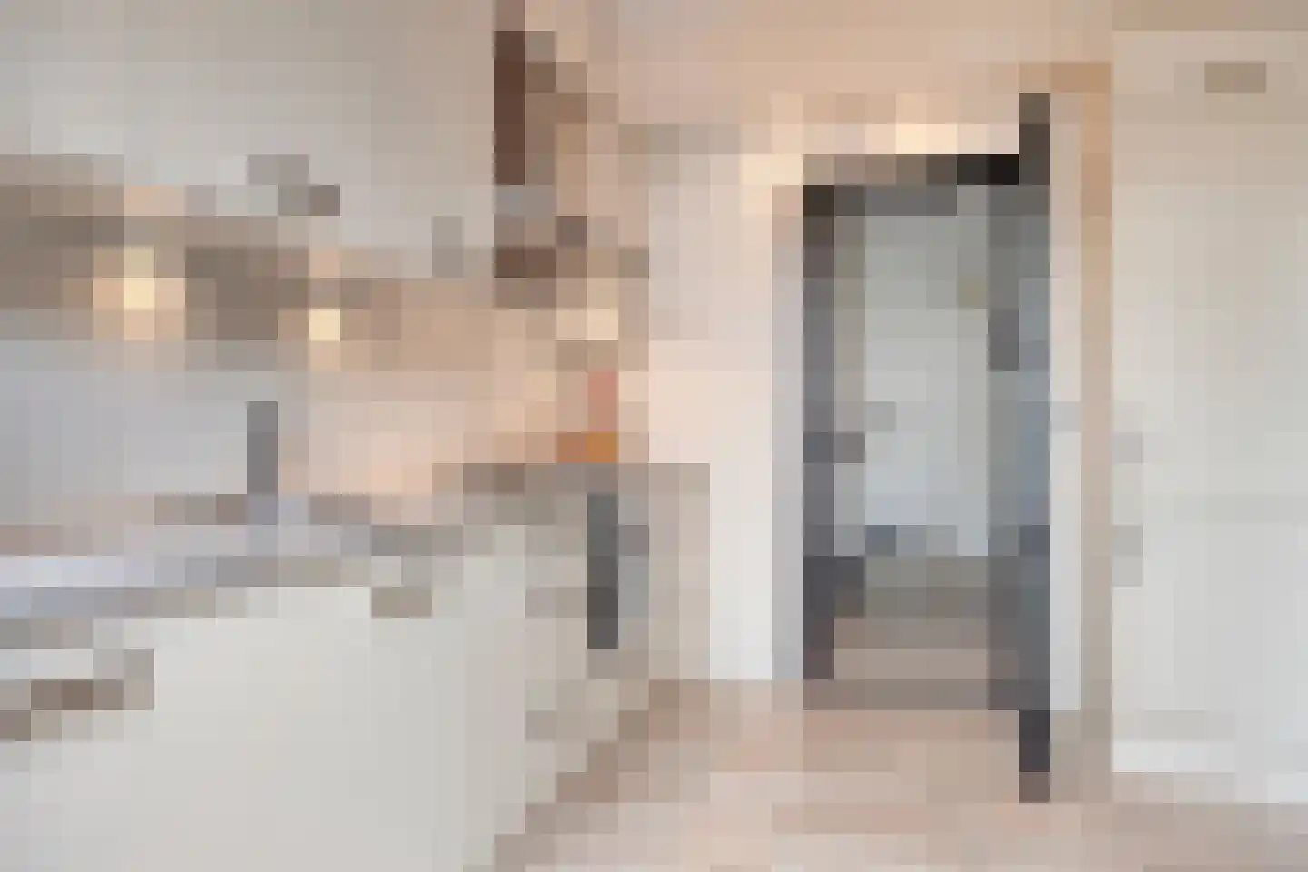 Hobostraat 19 Uden thumbnail 18