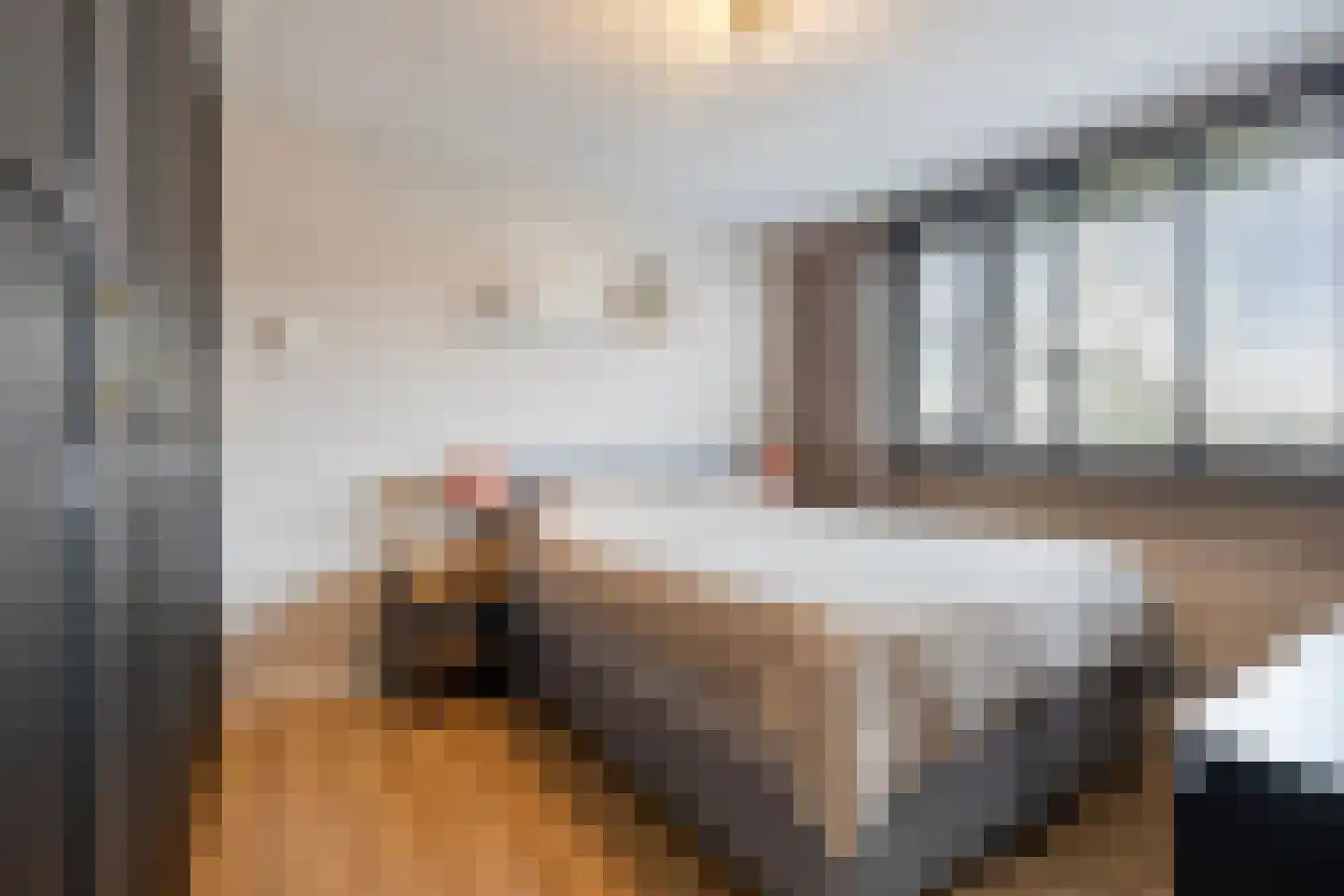Hobostraat 19 Uden thumbnail 23