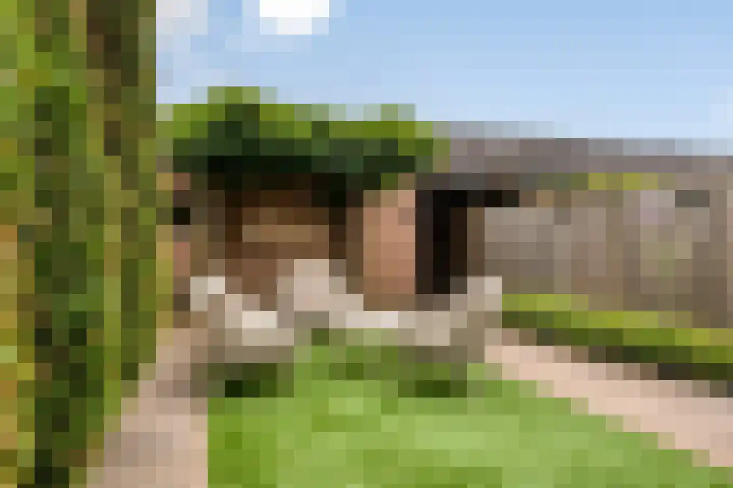 Hobostraat 19 Uden thumbnail 31