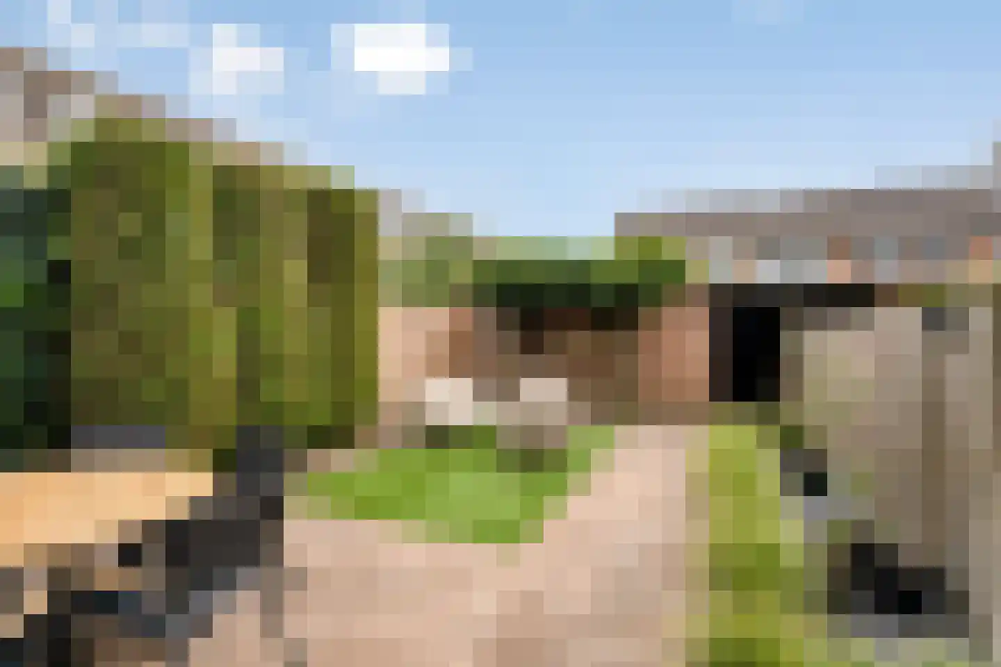 Hobostraat 19 Uden thumbnail 31