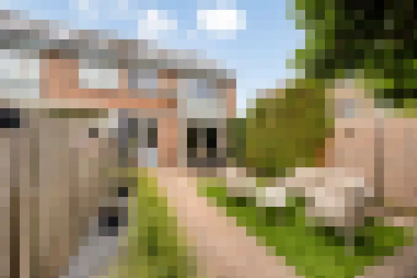 Hobostraat 19 Uden thumbnail 32