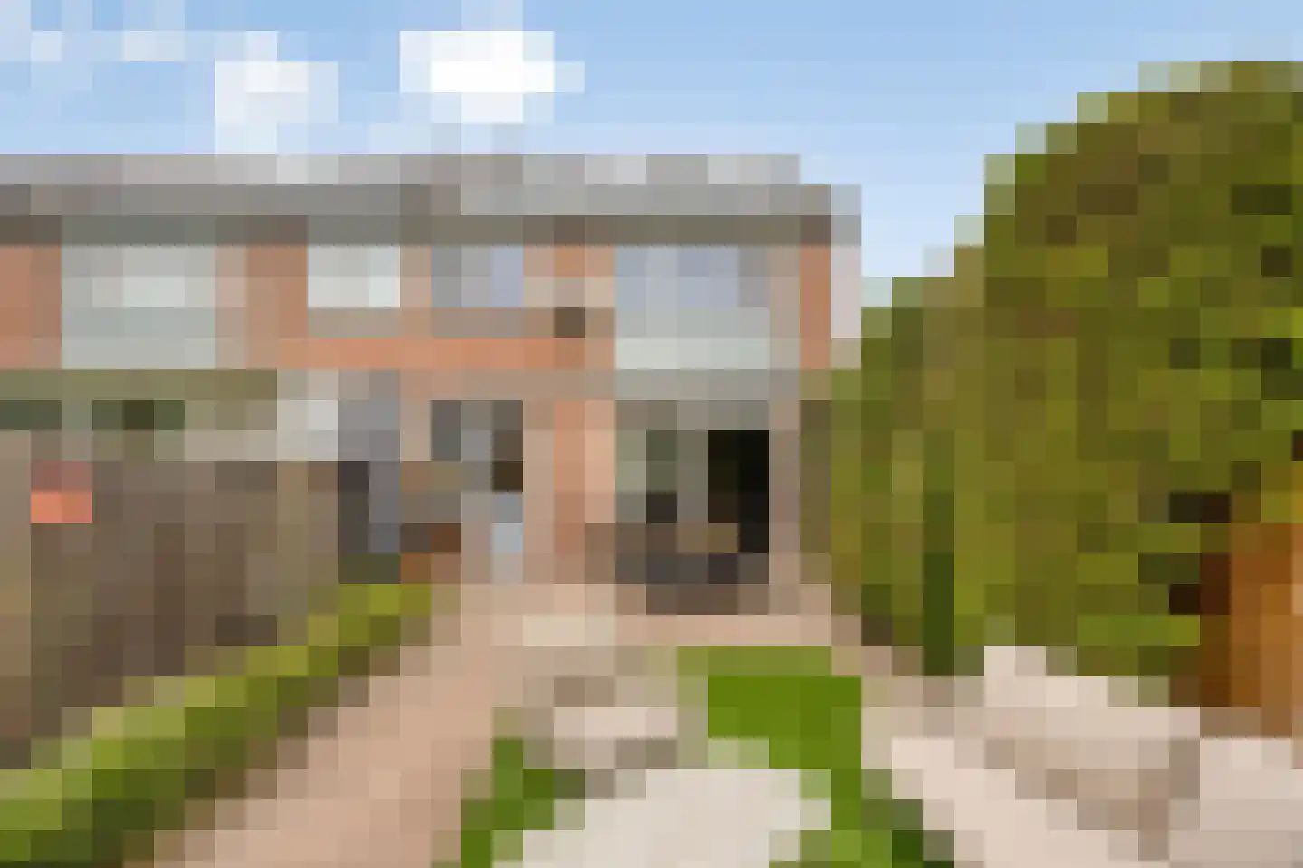 Hobostraat 19 Uden thumbnail 4