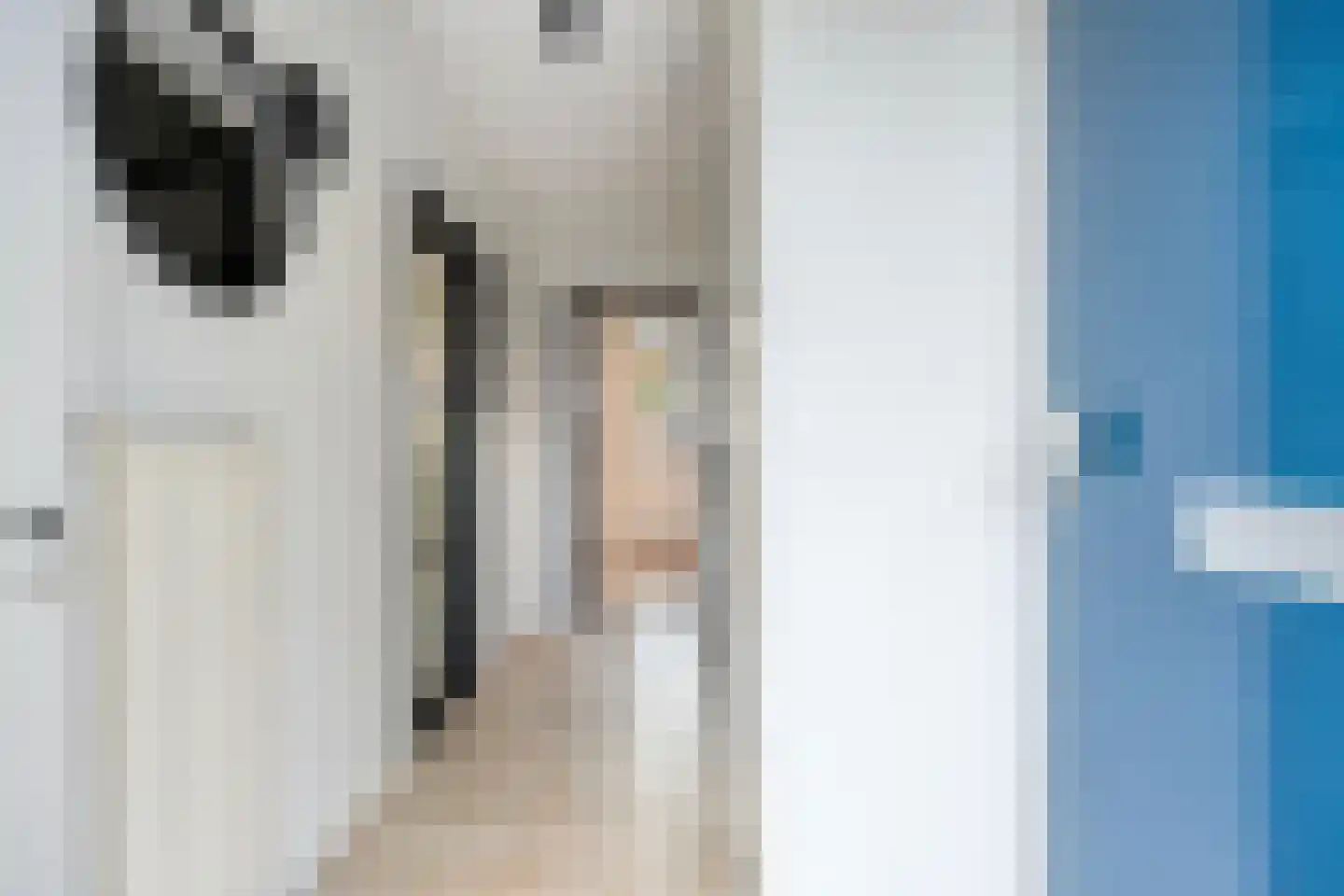 Hobostraat 19 Uden thumbnail 6