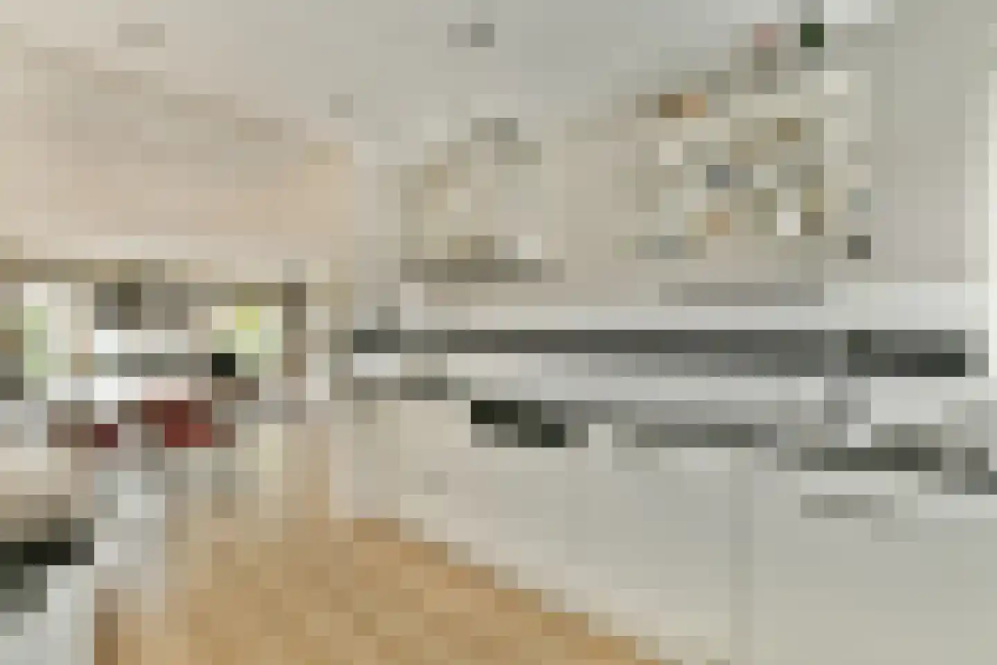 Hobostraat 2 Spijkenisse thumbnail 12