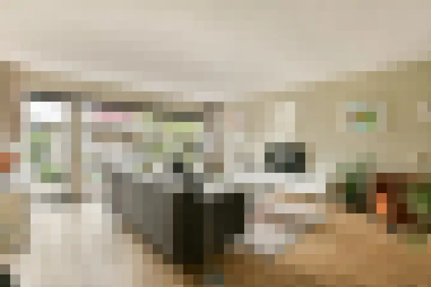Hobostraat 2 Spijkenisse thumbnail 8