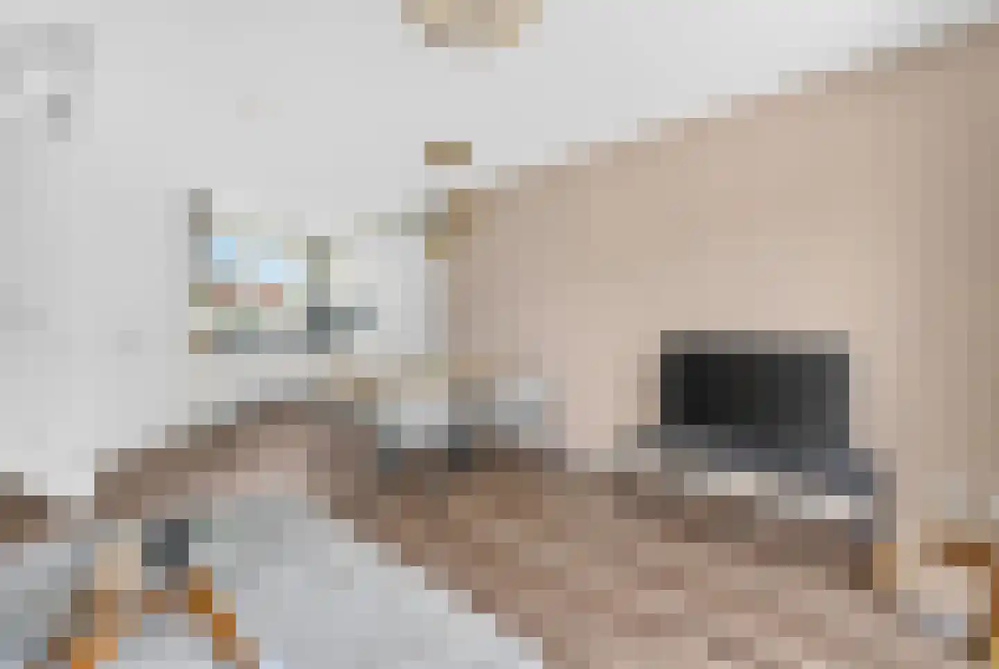 Hobostraat 28 Eindhoven thumbnail 11