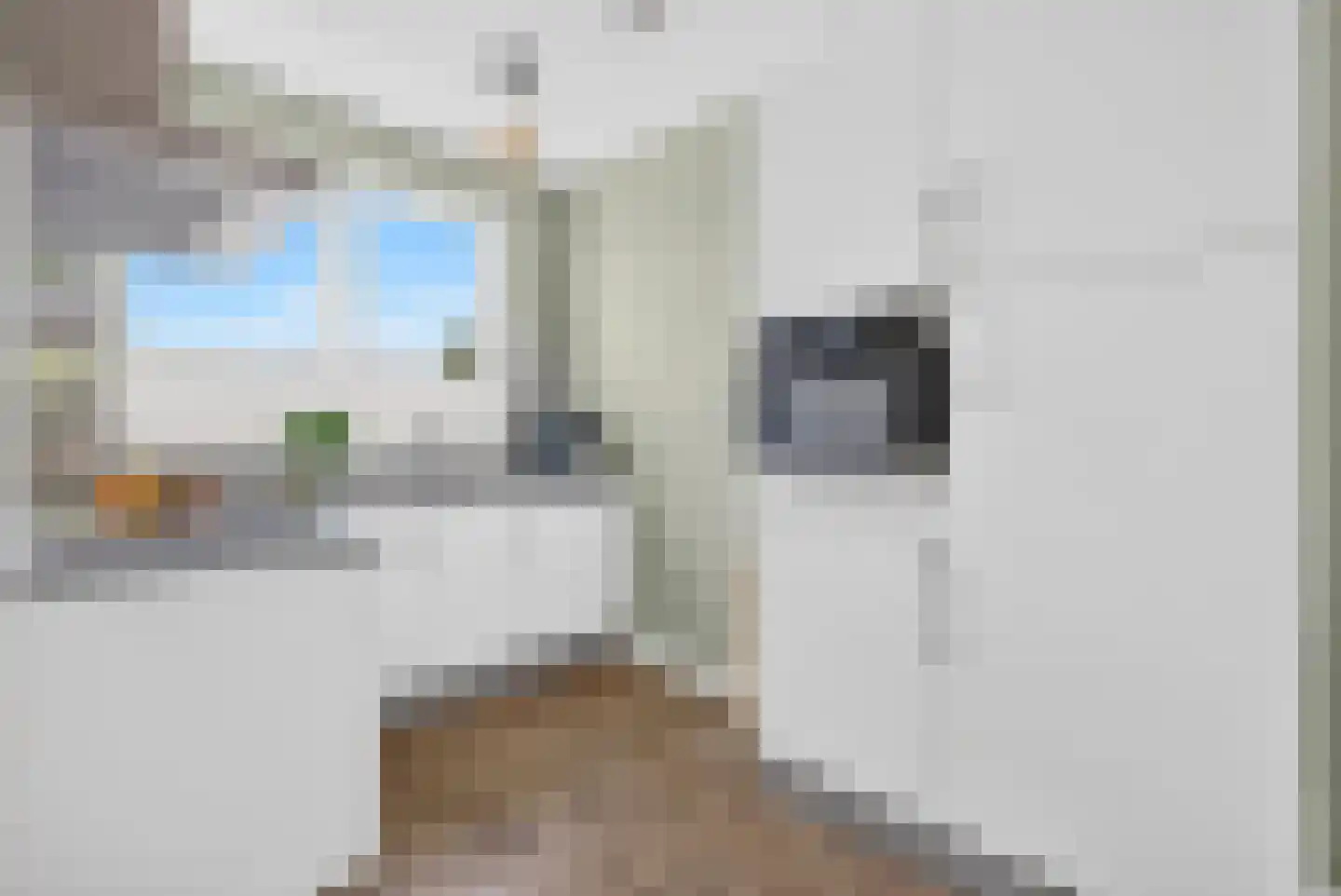 Hobostraat 28 Eindhoven thumbnail 13