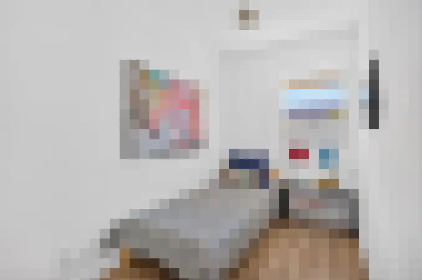 Hobostraat 28 Eindhoven thumbnail 30