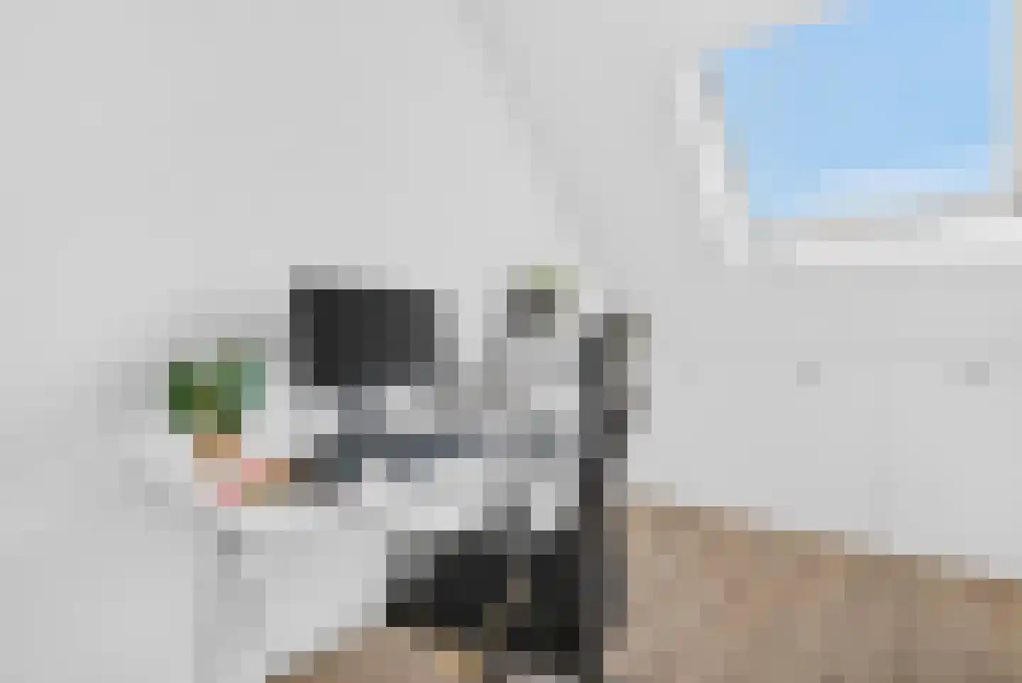Hobostraat 28 Eindhoven thumbnail 38