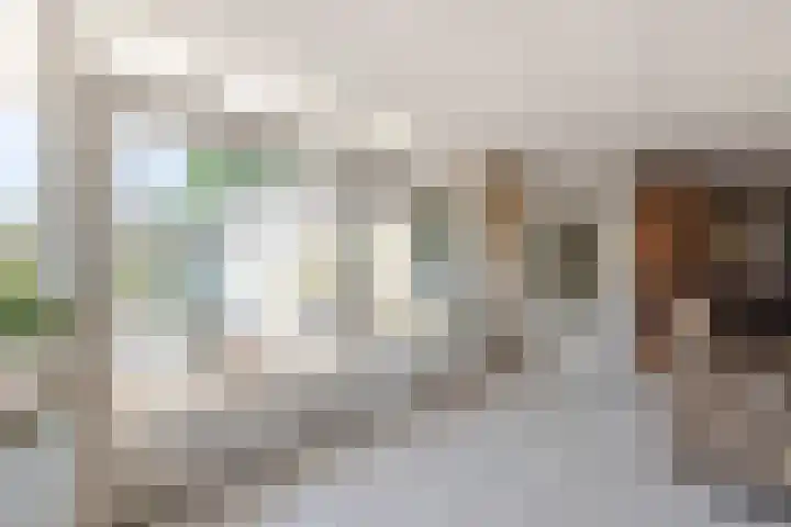 Hobostraat 4 Arkel thumbnail 16