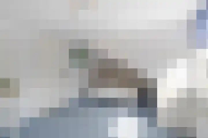 Hobostraat 4 Arkel thumbnail 28