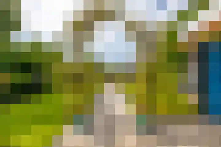 Hobostraat 4 Arkel thumbnail 32