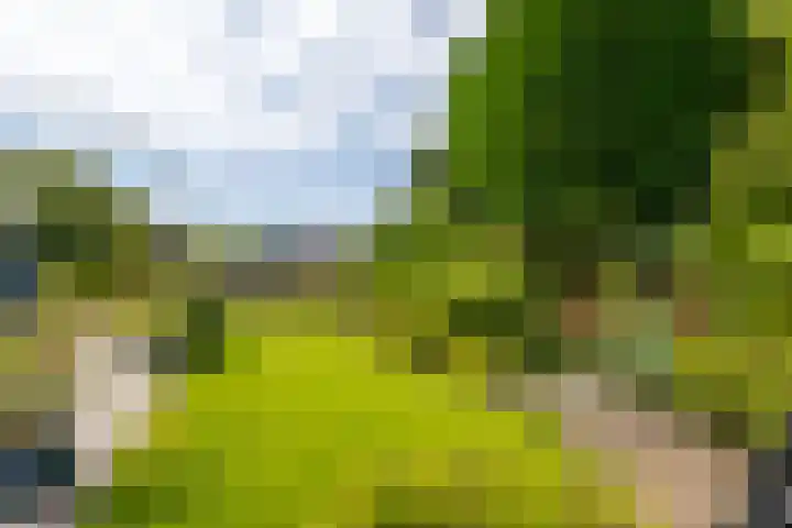 Hobostraat 4 Arkel thumbnail 33