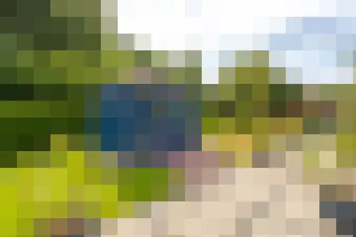 Hobostraat 4 Arkel thumbnail 35
