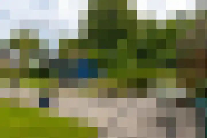 Hobostraat 4 Arkel thumbnail 36